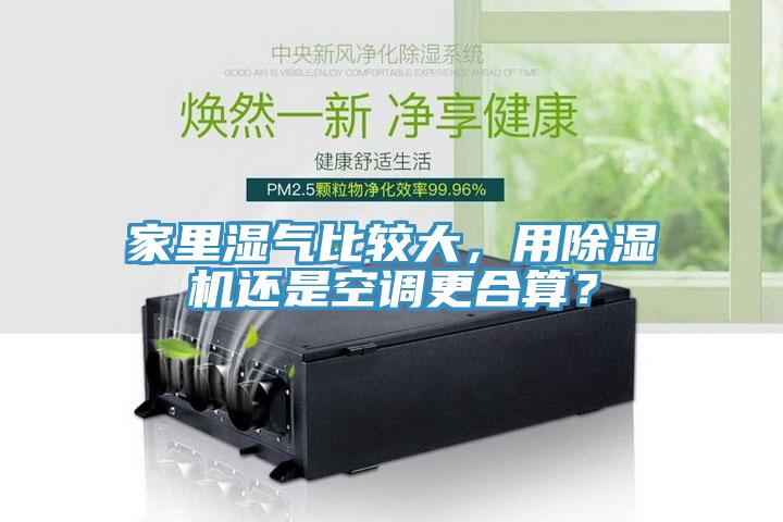 家里濕氣比較大，用除濕機(jī)還是空調(diào)更合算？