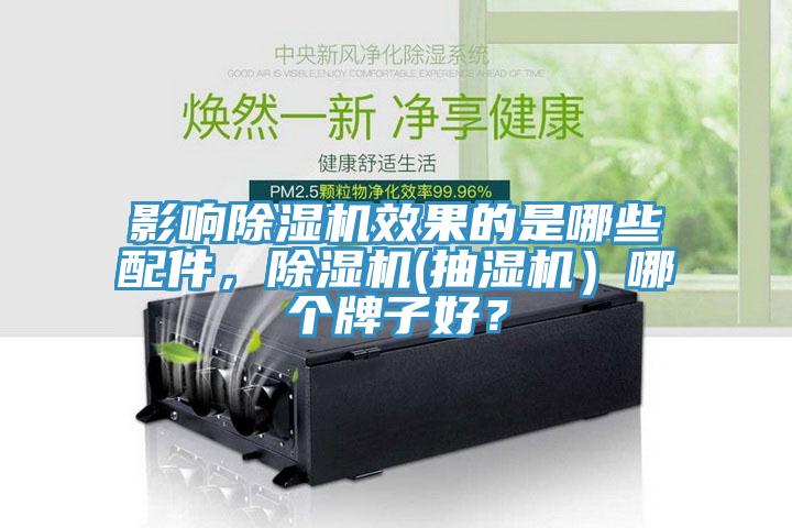 影響除濕機效果的是哪些配件，除濕機(抽濕機）哪個牌子好？