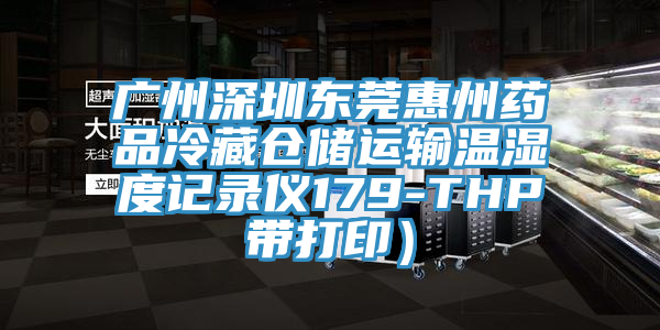 廣州深圳東莞惠州藥品冷藏倉儲運輸溫濕度記錄儀179-THP帶打?。?></div>
								<div   id=