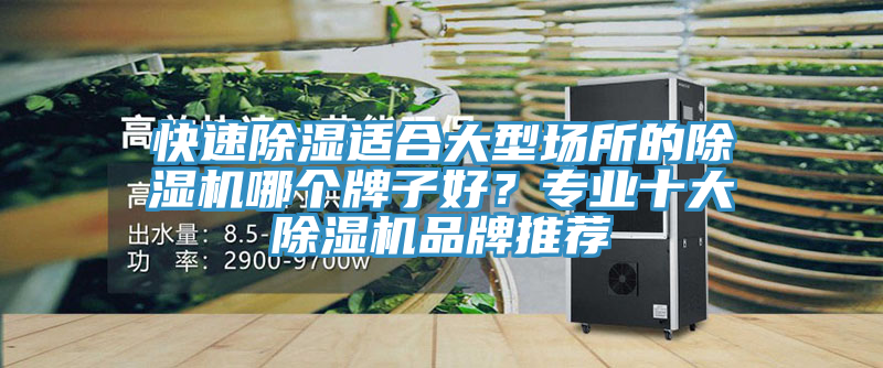 快速除濕適合大型場所的除濕機哪個牌子好？專業(yè)十大除濕機品牌推薦