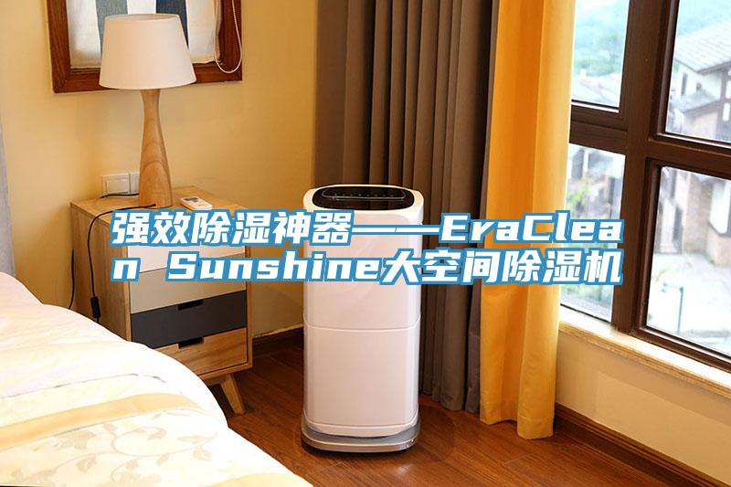 強效除濕神器――EraClean Sunshine大空間除濕機