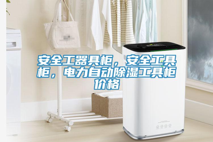 安全工器具柜，安全工具柜，電力自動(dòng)除濕工具柜價(jià)格