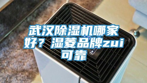 武漢除濕機(jī)哪家好？濕菱品牌zui可靠