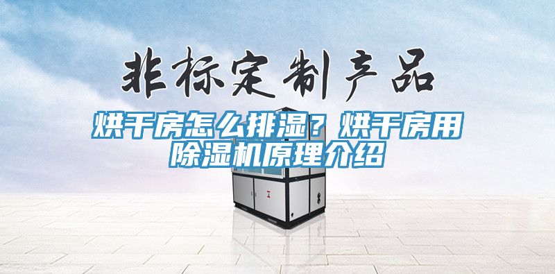 烘干房怎么排濕？烘干房用除濕機原理介紹