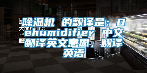 除濕機(jī) 的翻譯是：Dehumidifier 中文翻譯英文意思，翻譯英語