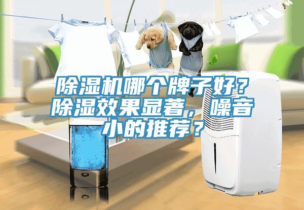 除濕機(jī)哪個(gè)牌子好？除濕效果顯著，噪音小的推薦？