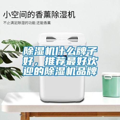 除濕機什么牌子好，推薦最好歡迎的除濕機品牌