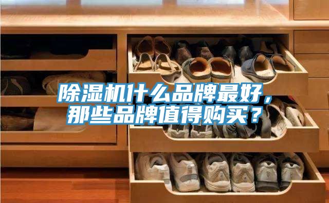 除濕機(jī)什么品牌最好，那些品牌值得購(gòu)買(mǎi)？