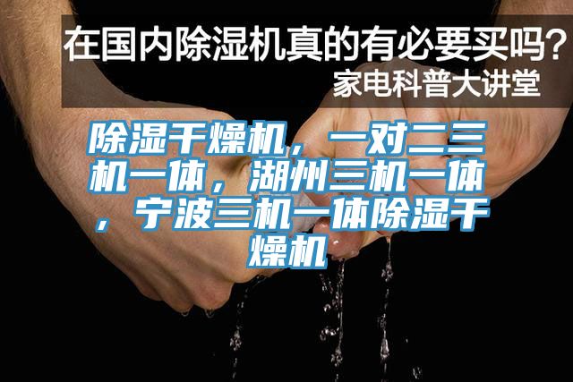 除濕干燥機，一對二三機一體，湖州三機一體，寧波三機一體除濕干燥機