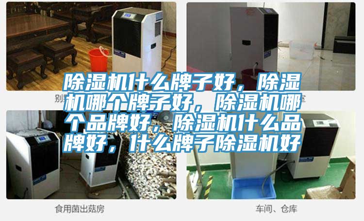 除濕機什么牌子好，除濕機哪個牌子好，除濕機哪個品牌好，除濕機什么品牌好，什么牌子除濕機好