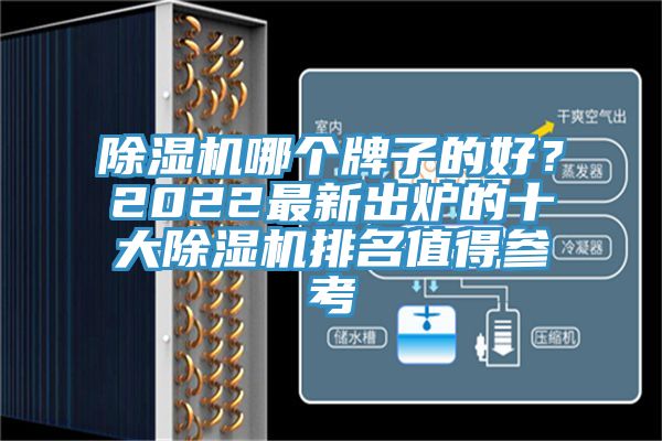 除濕機(jī)哪個(gè)牌子的好？2022最新出爐的十大除濕機(jī)排名值得參考