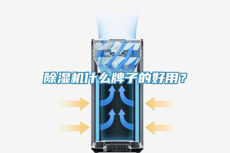 除濕機(jī)什么牌子的好用？