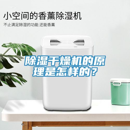 除濕干燥機的原理是怎樣的？