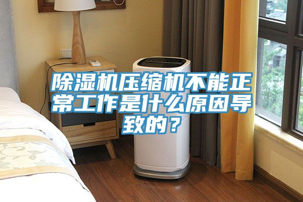 除濕機壓縮機不能正常工作是什么原因導致的？