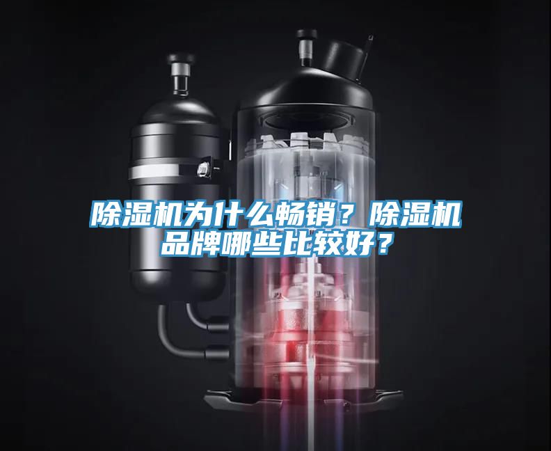 除濕機(jī)為什么暢銷？除濕機(jī)品牌哪些比較好？