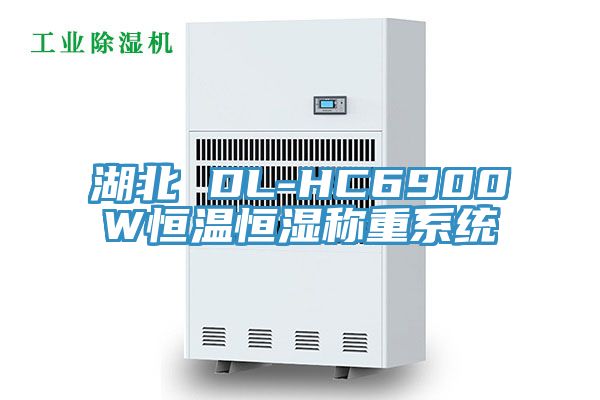 湖北 DL-HC6900W恒溫恒濕稱重系統(tǒng)