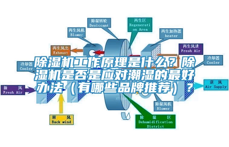 除濕機(jī)工作原理是什么？除濕機(jī)是否是應(yīng)對潮濕的最好辦法（有哪些品牌推薦）？