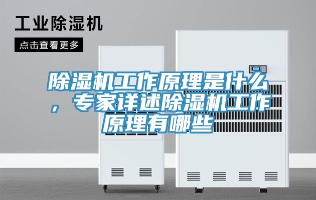 除濕機工作原理是什么，專家詳述除濕機工作原理有哪些