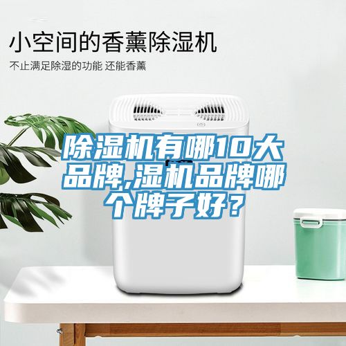 除濕機有哪10大品牌,濕機品牌哪個牌子好？