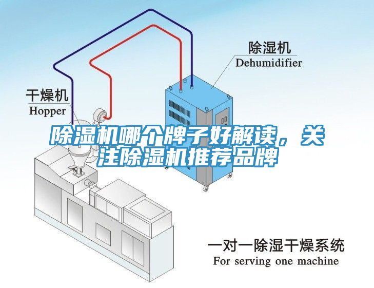 除濕機(jī)哪個牌子好解讀，關(guān)注除濕機(jī)推薦品牌