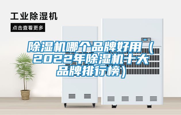 除濕機(jī)哪個(gè)品牌好用（2022年除濕機(jī)十大品牌排行榜）