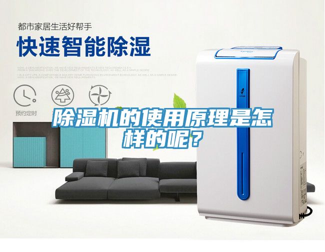 除濕機的使用原理是怎樣的呢？