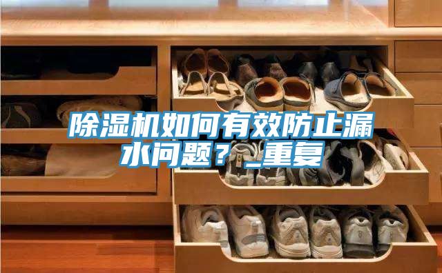 除濕機如何有效防止漏水問題？_重復