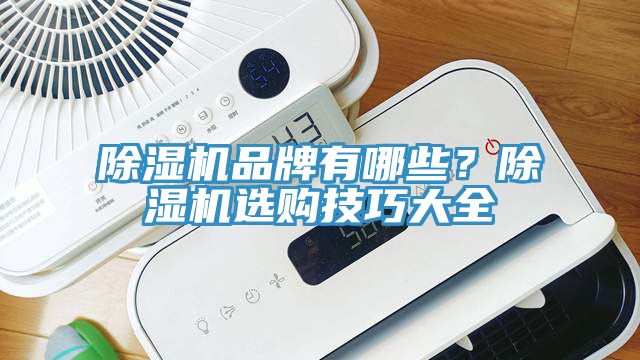 除濕機(jī)品牌有哪些？除濕機(jī)選購技巧大全