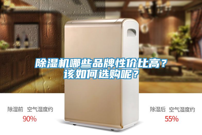 除濕機(jī)哪些品牌性價比高？該如何選購呢？