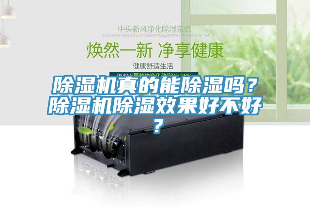 除濕機真的能除濕嗎？除濕機除濕效果好不好？