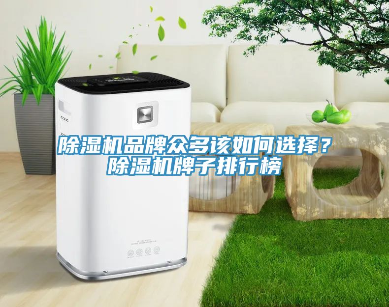 除濕機品牌眾多該如何選擇？除濕機牌子排行榜