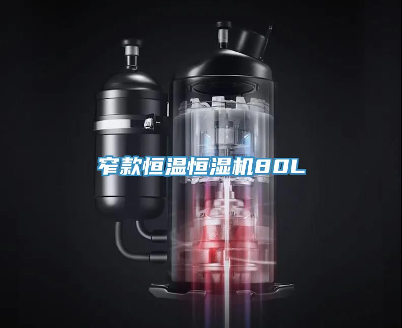 窄款恒溫恒濕機80L