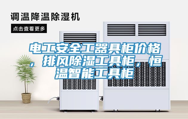 電工安全工器具柜價格，排風(fēng)除濕工具柜，恒溫智能工具柜