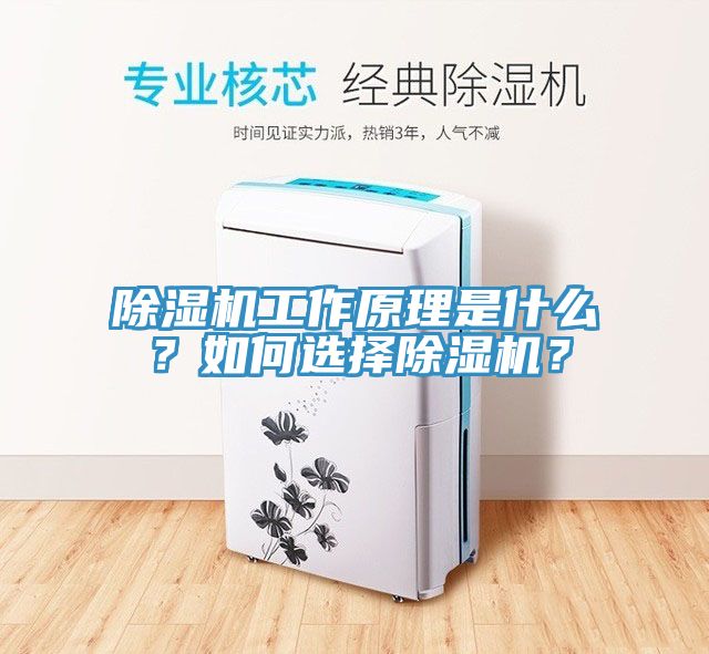 除濕機工作原理是什么？如何選擇除濕機？