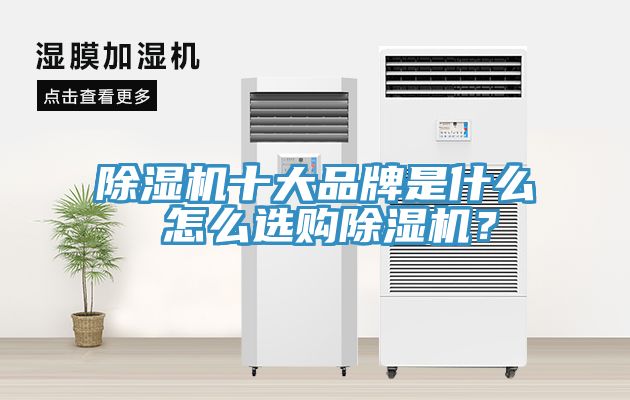 除濕機(jī)十大品牌是什么 怎么選購除濕機(jī)？