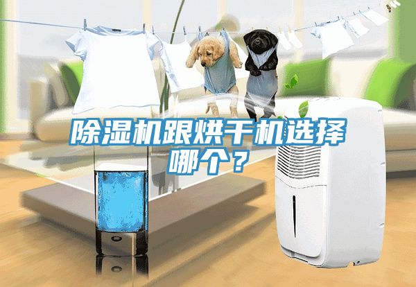 除濕機(jī)跟烘干機(jī)選擇哪個(gè)？