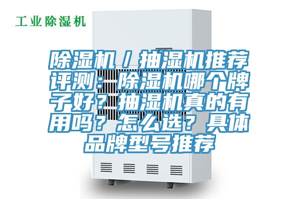 除濕機／抽濕機推薦評測：除濕機哪個牌子好？抽濕機真的有用嗎？怎么選？具體品牌型號推薦