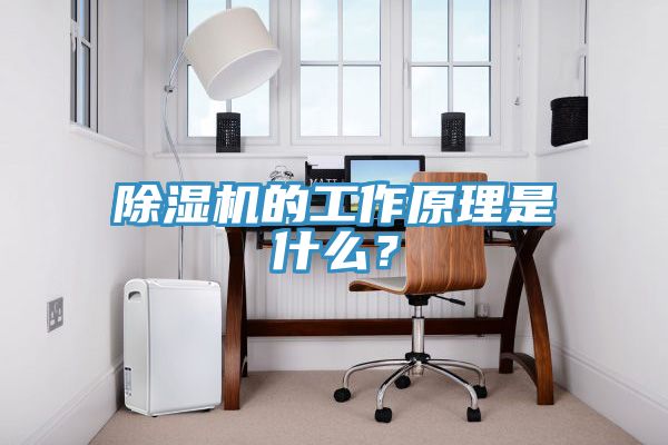 除濕機的工作原理是什么？