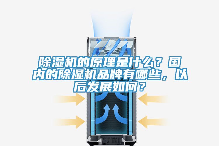 除濕機的原理是什么？國內的除濕機品牌有哪些，以后發(fā)展如何？