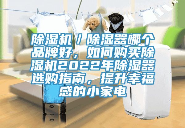 除濕機／除濕器哪個品牌好，如何購買除濕機2022年除濕器選購指南，提升幸福感的小家電