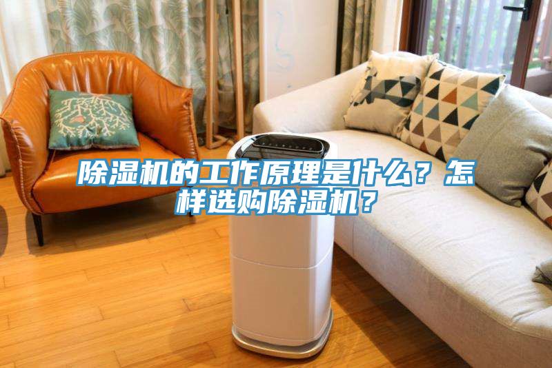 除濕機的工作原理是什么？怎樣選購除濕機？